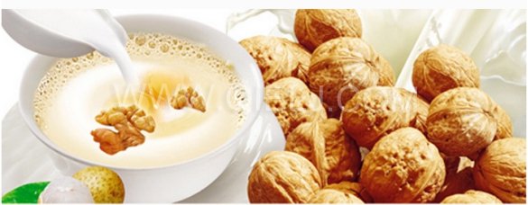 核桃深加工——核桃油，核桃粉，核桃工藝品，活性炭制品(圖8)