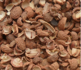 核桃深加工——核桃油，核桃粉，核桃工藝品，活性炭制品(圖3)