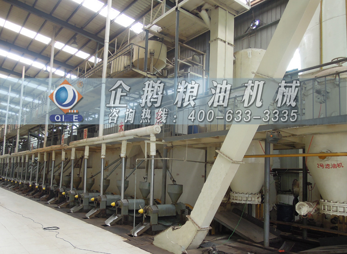 如何降低壓榨花生油中黃曲霉毒素含量？企鵝糧油機(jī)械為您提供可靠方法(圖3)