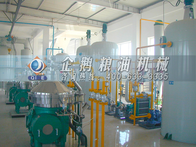 如何投資建設(shè)棕櫚油加工廠？企鵝糧油機械在線為您答疑解惑(圖2)