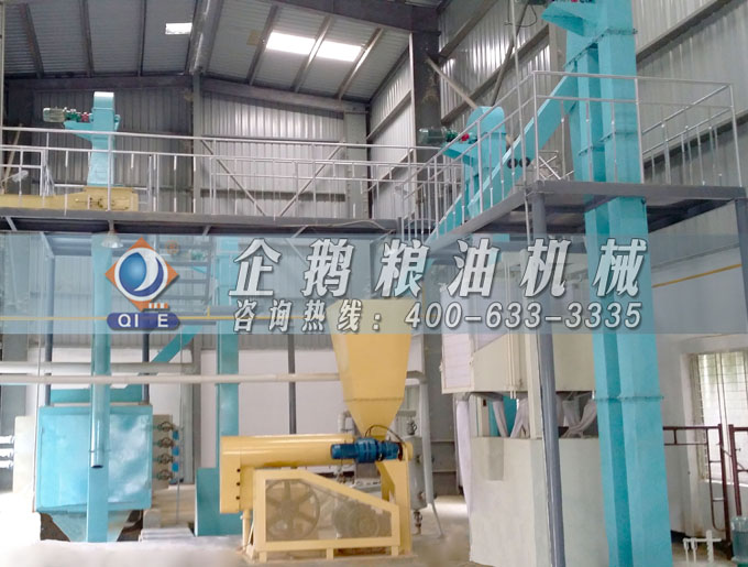 如何投資建設(shè)棕櫚油加工廠？企鵝糧油機械在線為您答疑解惑(圖4)