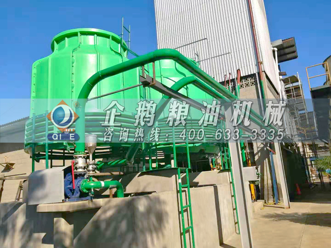 如何投資建設(shè)棕櫚油加工廠？企鵝糧油機械在線為您答疑解惑(圖3)