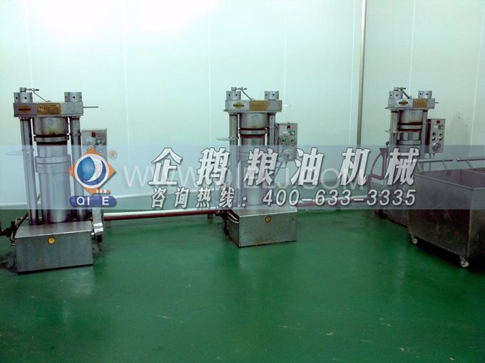 芝麻油壓榨處理設(shè)備，企鵝牌液壓榨油機勇于創(chuàng)新生產(chǎn)效率高(圖4)
