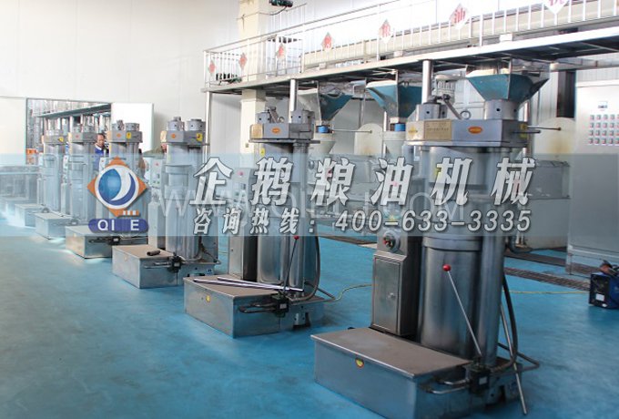 芝麻油提取加工，企鵝糧油機械生產(chǎn)色香味俱佳的油脂(圖3)